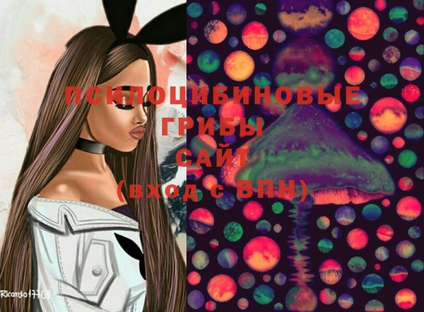 Альфа ПВП Армянск