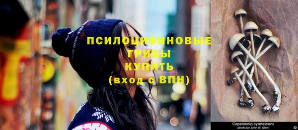 твердый Надым
