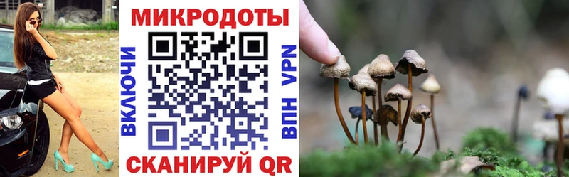 купить наркоту  Кудымкар  ссылка на мегу ONION  Псилоцибиновые грибы GOLDEN TEACHER 